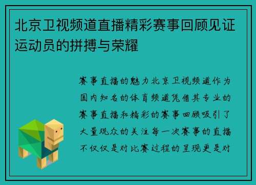北京卫视频道直播精彩赛事回顾见证运动员的拼搏与荣耀